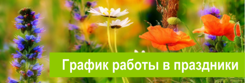 График работы в праздники