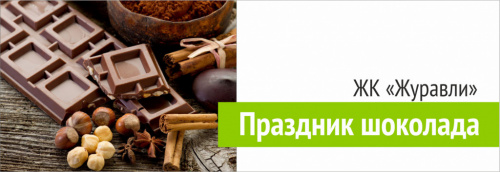 Праздник шоколада в ЖК "Журавли"