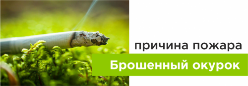 Брошенный окурок вызывает пожар