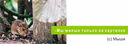 Соблюдаем чистоту